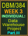 DBM/384 Data Warehouse Project Part III